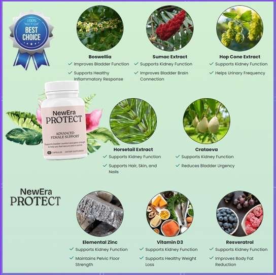 NewEra Protect